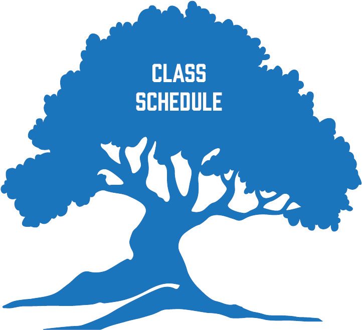 Class Schedule Tree Icon - Waiwera (792x777), Png Download