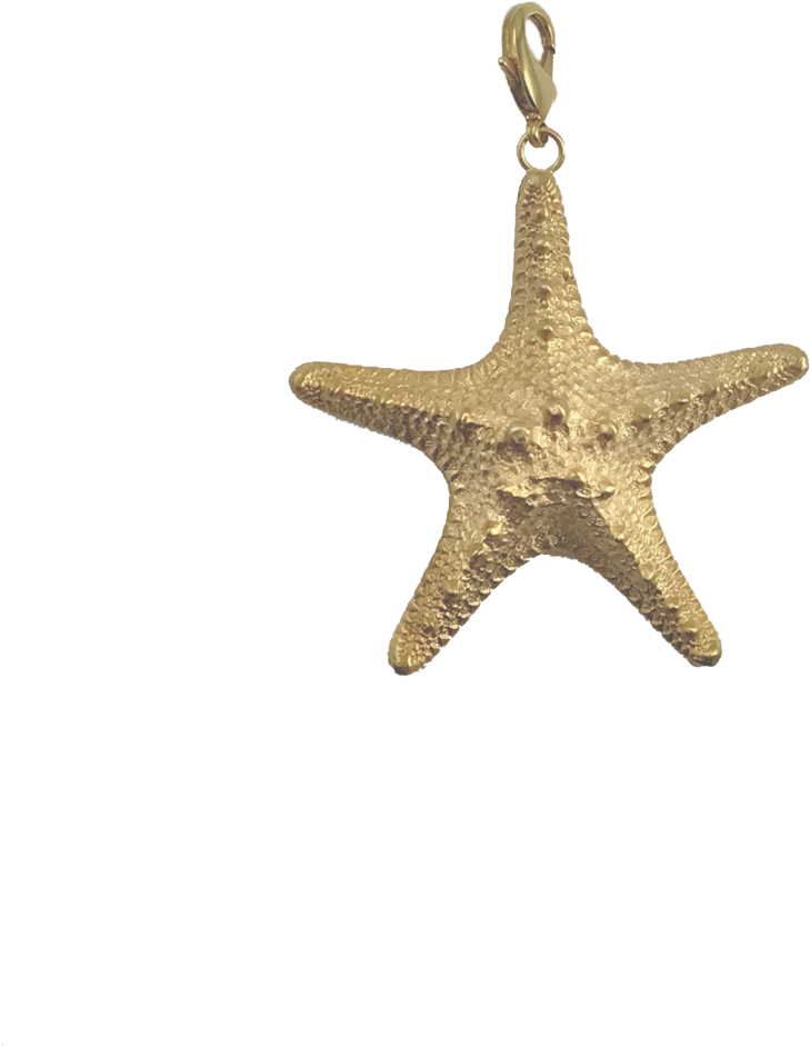 Studded Starfish Enhancer - Locket (1000x1333), Png Download