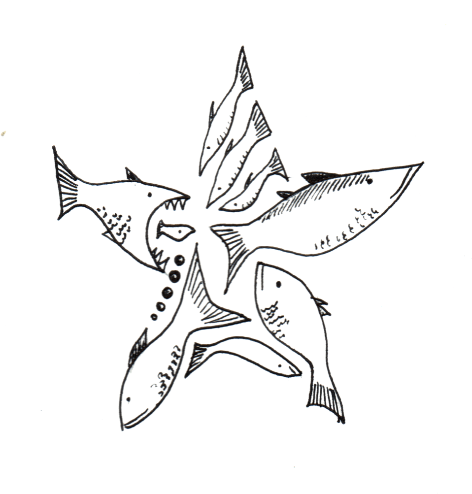 Star Fish (1000x1027), Png Download