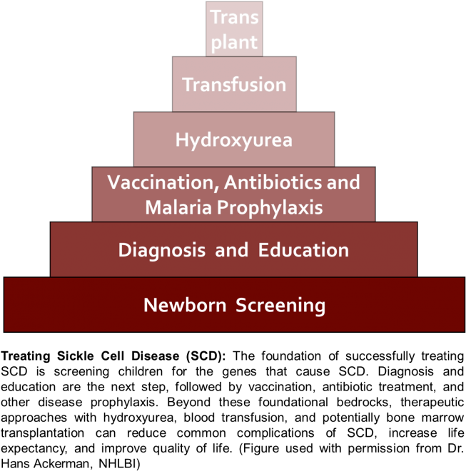 Sickle Cell Disease In Sub Saharan Africa Using Science - Colorfulness (672x675), Png Download