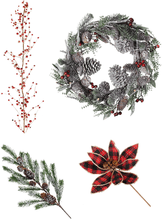 Floral - Illustration (658x800), Png Download