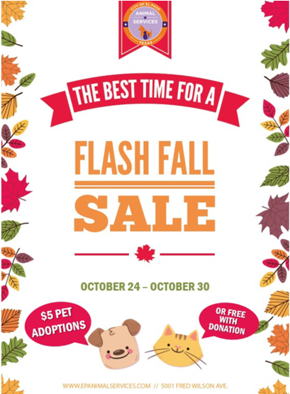 Flash Fall Sale Lets Residents Adopt A Pet For $5 Or - Paw (986x555), Png Download