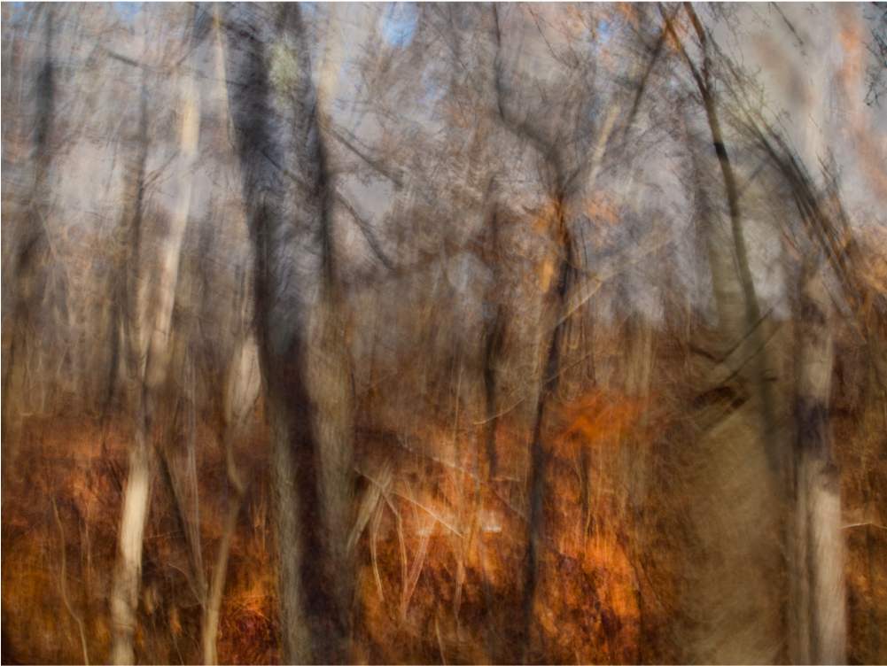 Mosaic Trees Web - Painting (1000x1000), Png Download