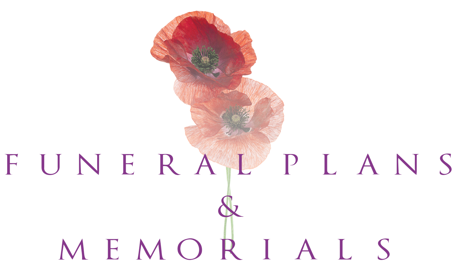 Funeral Plans & Memorials - Poppy (1539x926), Png Download