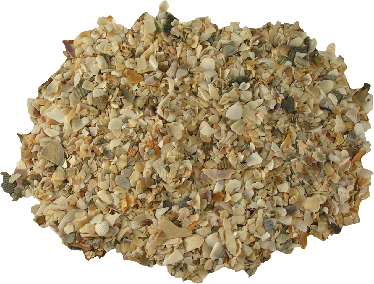 Aquarium Shell Sand Small Kilos - Gravel (1443x1100), Png Download