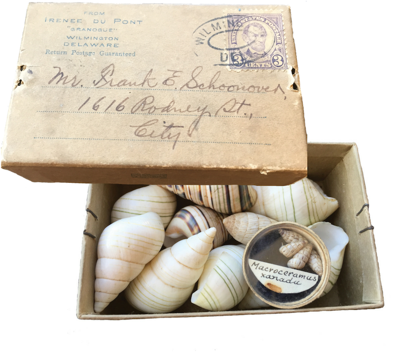 Du Pont's Delaware Estate, The Tiny Box Is Addressed - Cockle (940x788), Png Download