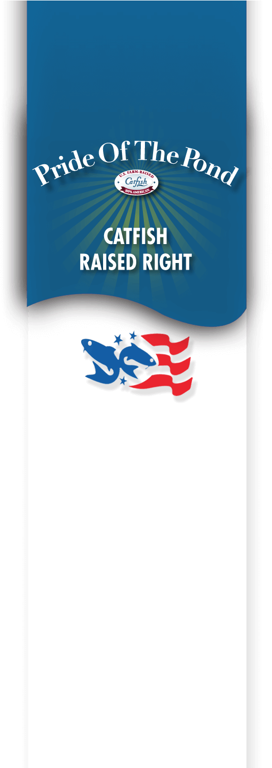 Contact Us - Pride Of The Pond (608x1500), Png Download