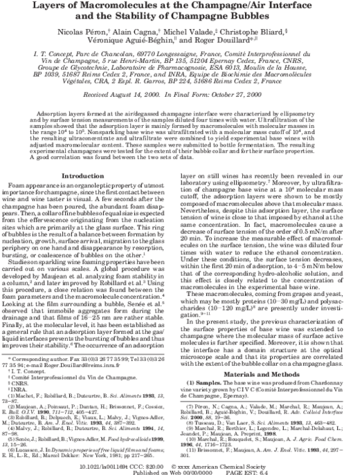 Layers Of Macromolecules At The Champagne/air Interface - Document (600x776), Png Download