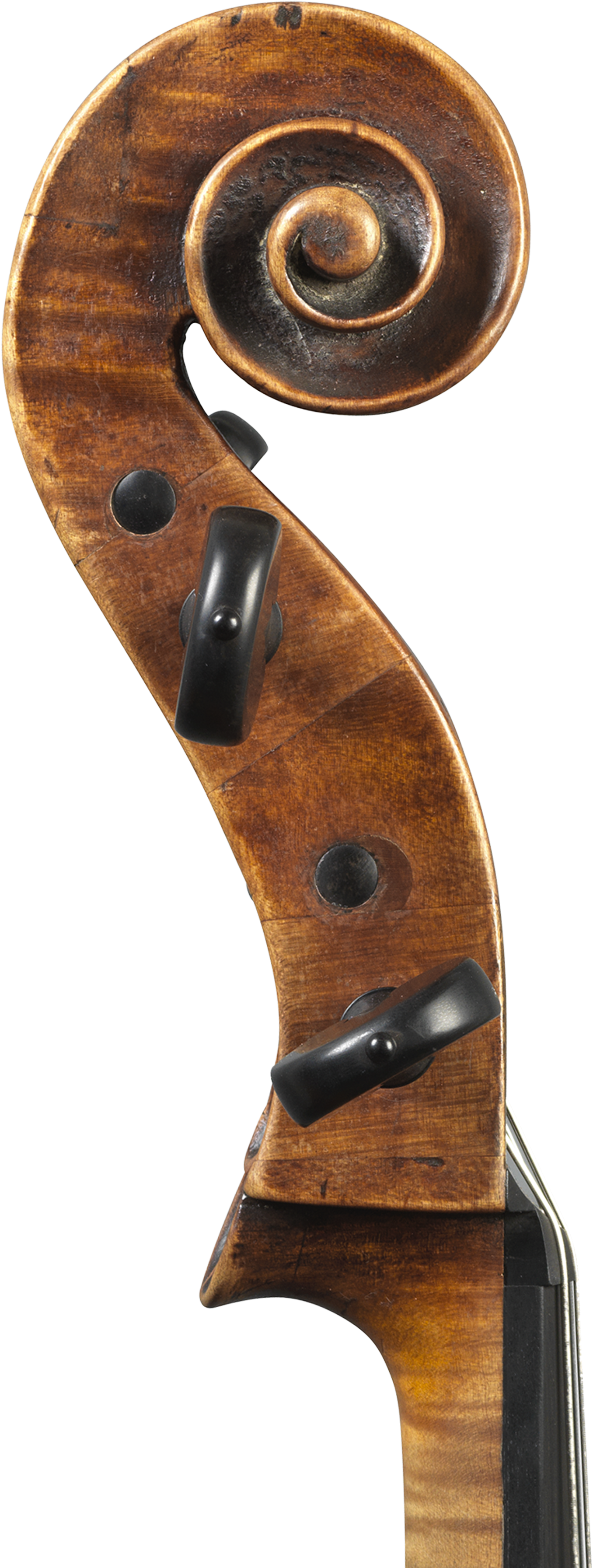 1 - Violin (1500x4000), Png Download