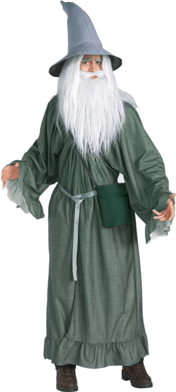Lord Of The Rings Gandalf - Lord Of The Rings Fancy Dress (500x793), Png Download
