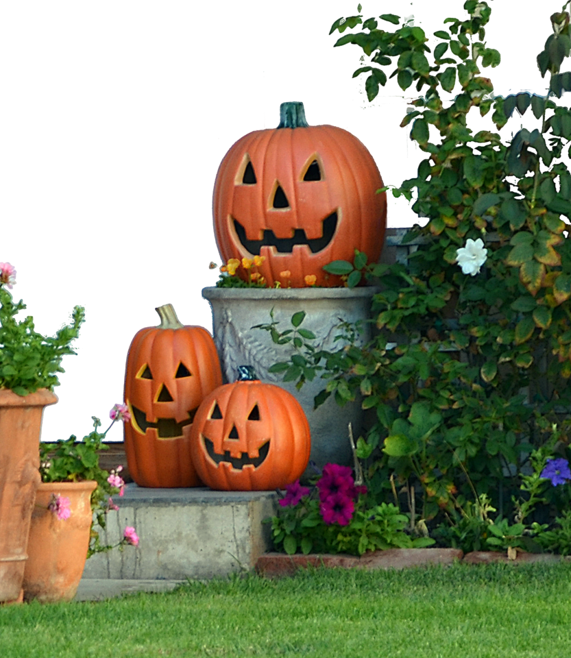 Pumkin Png - Jack-o'-lantern (833x960), Png Download