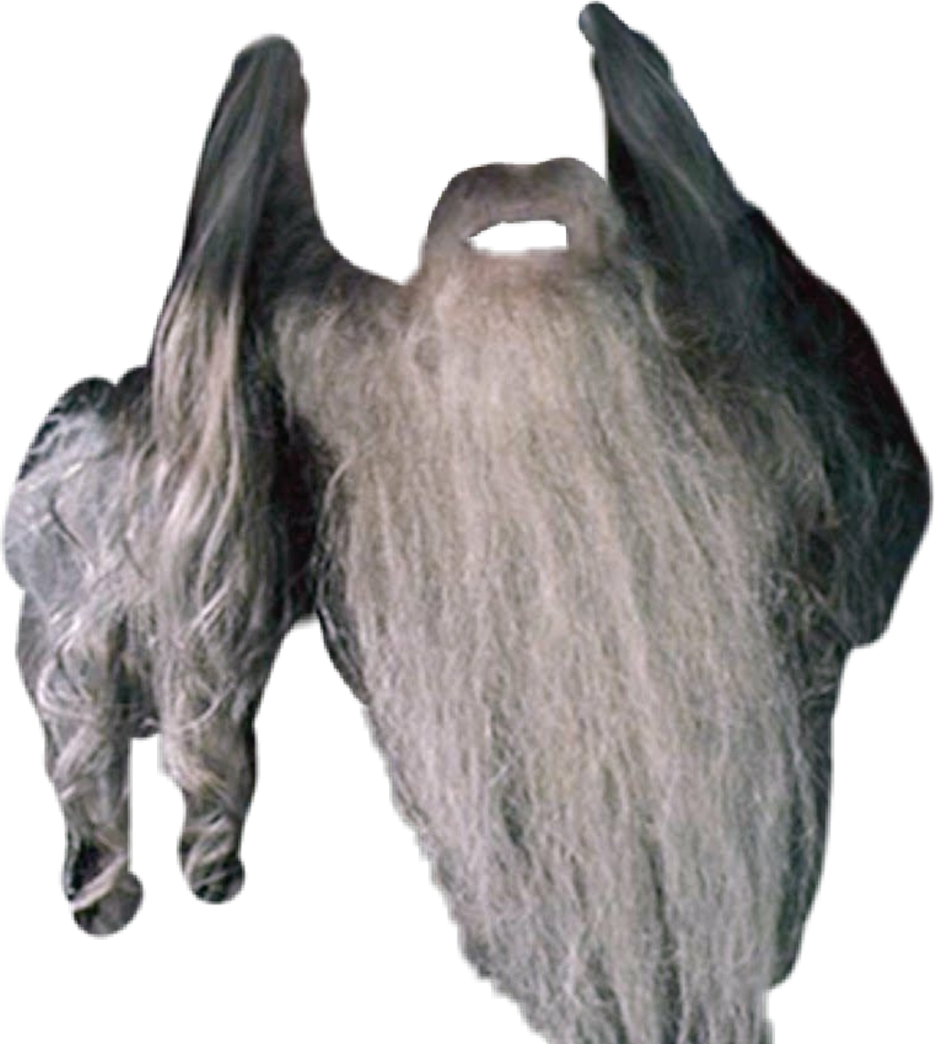 Gandalf Sticker - Rhinoceros (1024x1144), Png Download