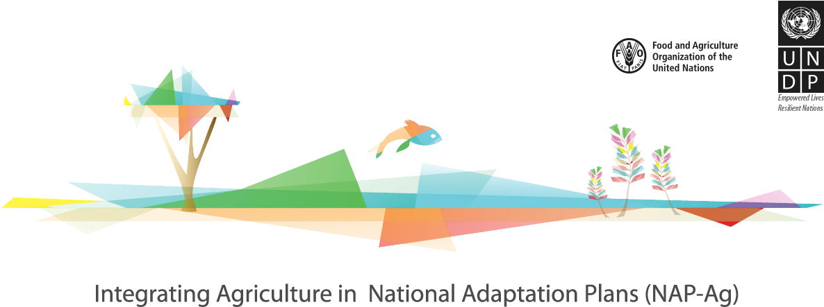 Supporting Developing Countries To Integrate The Agricultural - United Nations Development Programme (1200x500), Png Download