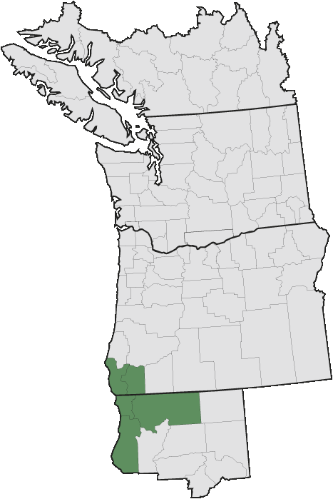 More Information - - Map (467x699), Png Download