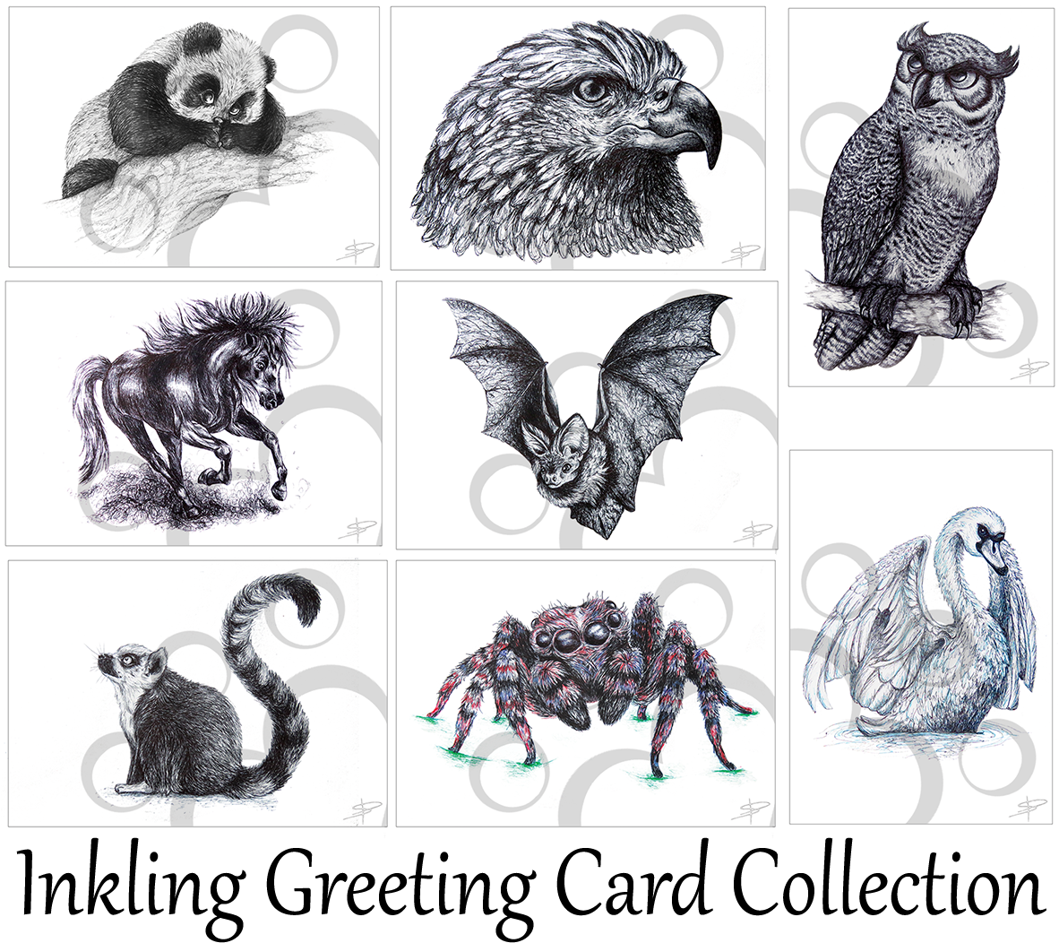 Inkling Greeting Card Collection - Alcaldia De La Dorada (1181x1181), Png Download