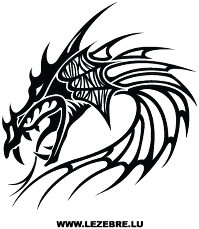 Dragon 28 - Dragon Head Tribal Tattoo (800x800), Png Download