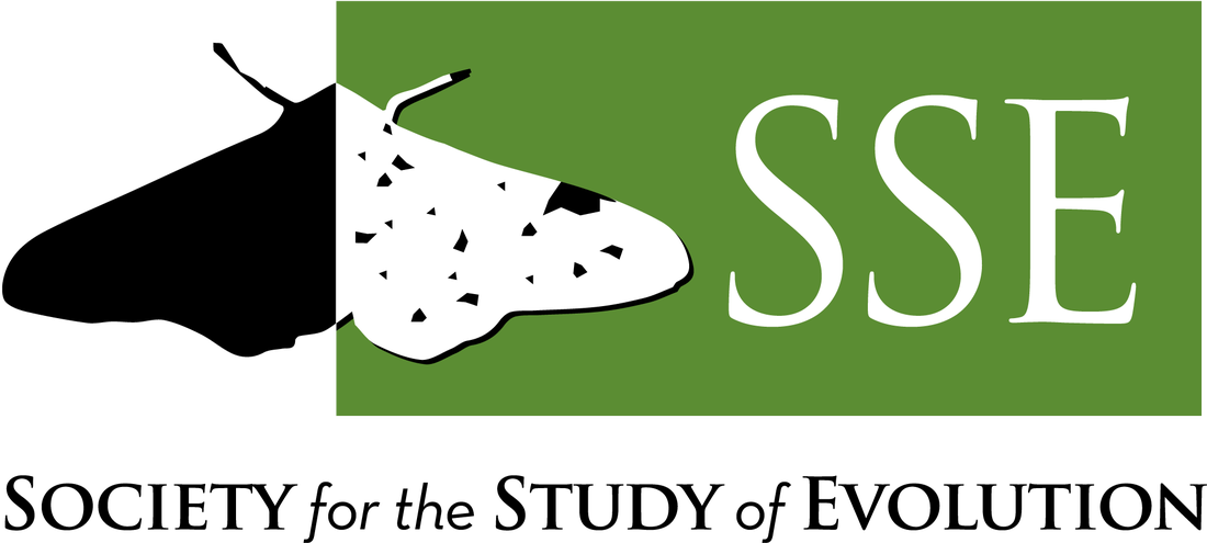 Picture - Society For Study Of Evolution Logo (1100x495), Png Download