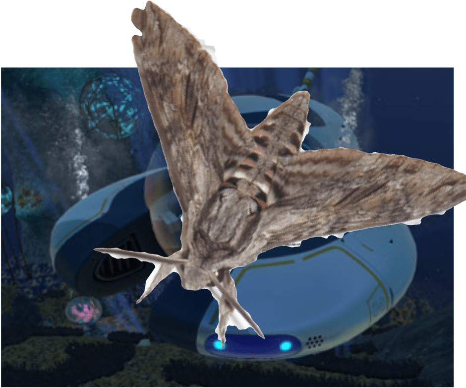 Funny Subnautica And Memes - Osprey (960x1280), Png Download