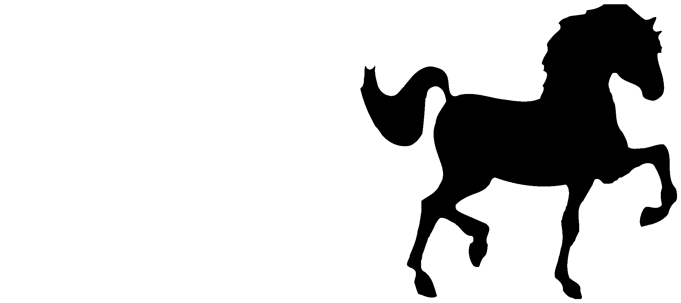 Feria Internacional Del Caballo Texcoco Logo Black - Feria Del Caballo (2400x2400), Png Download