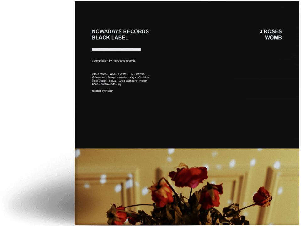 3 Roses - Garden Roses (1200x720), Png Download