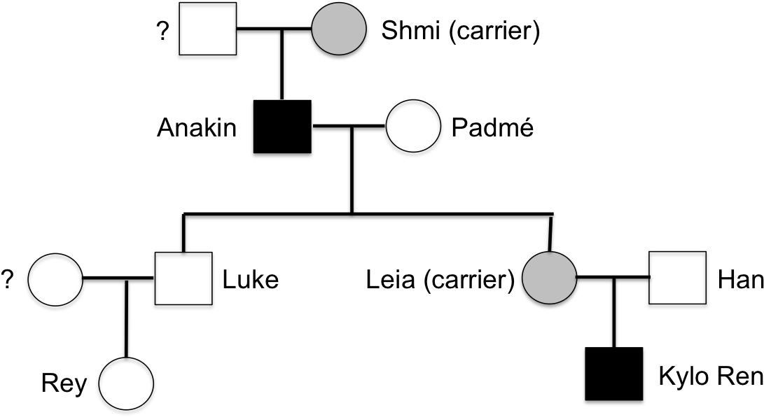 Post 115491 0 32177500 1451841880 Thumb - Star Wars Genetics (1128x597), Png Download