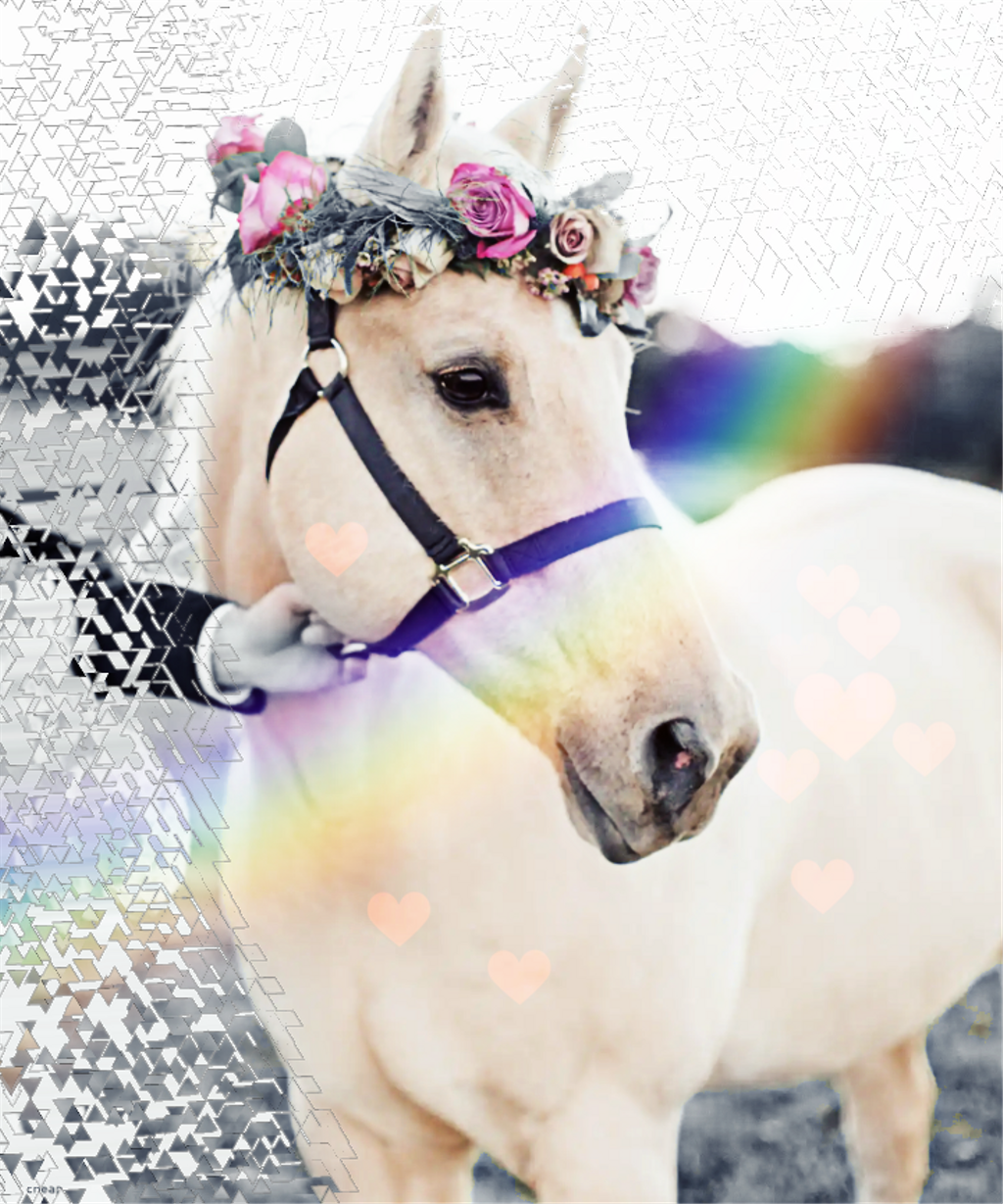 Caballo Image - Hochzeit Pferd (1024x1229), Png Download