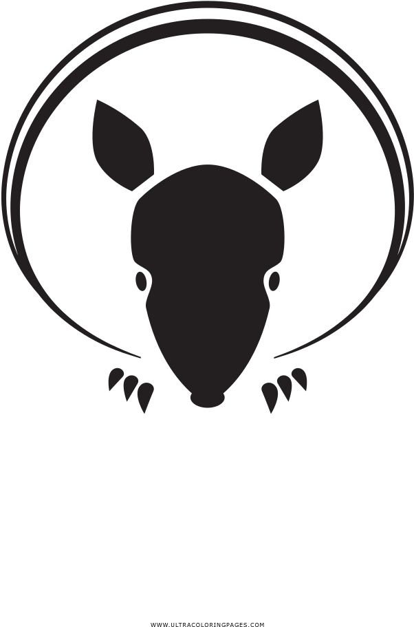 Armadillo Coloring Page - Illustration (1000x1250), Png Download