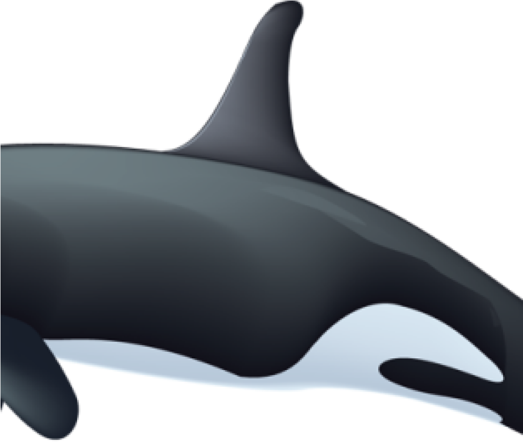 Orca Whale Clipart Killer Whale Clipart Rianfil Music - Killer Whale (1024x1024), Png Download