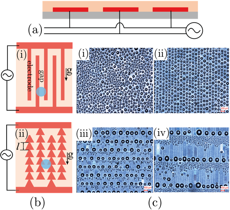Schematic Of The Substrate Used For The Condensation - Pattern (750x750), Png Download