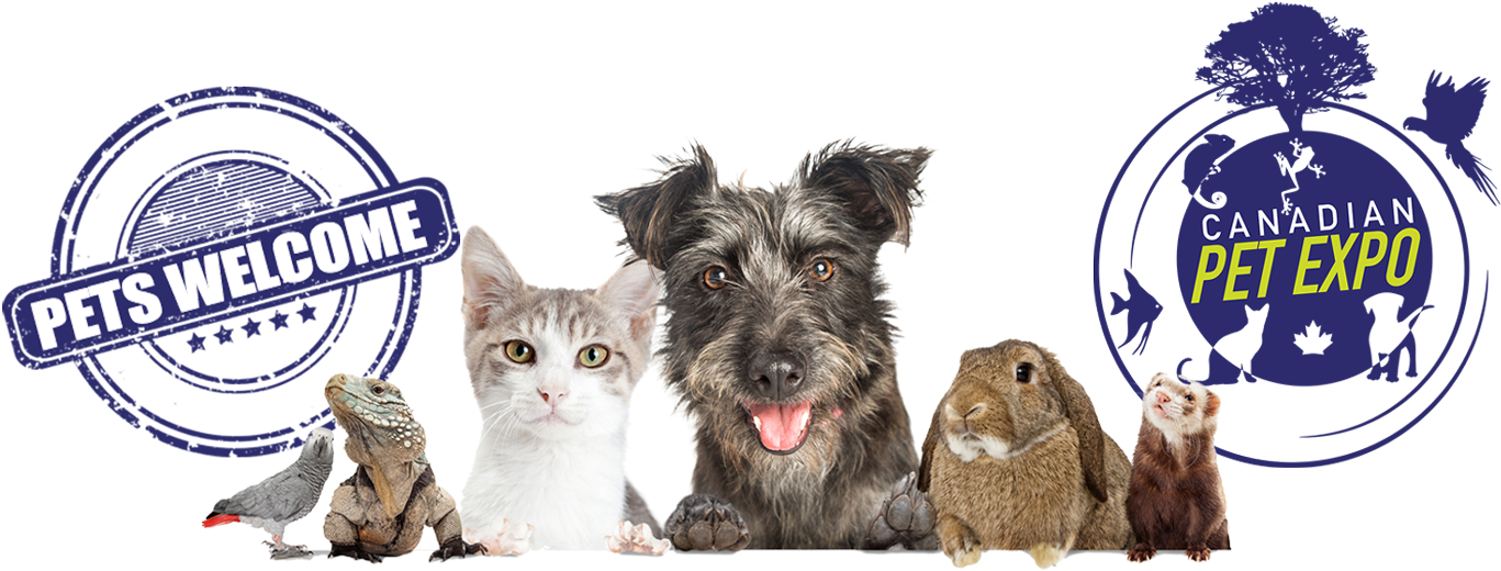 Don't Forget To Bring Your Pet Waiver - Tree Clip Art (1400x561), Png Download