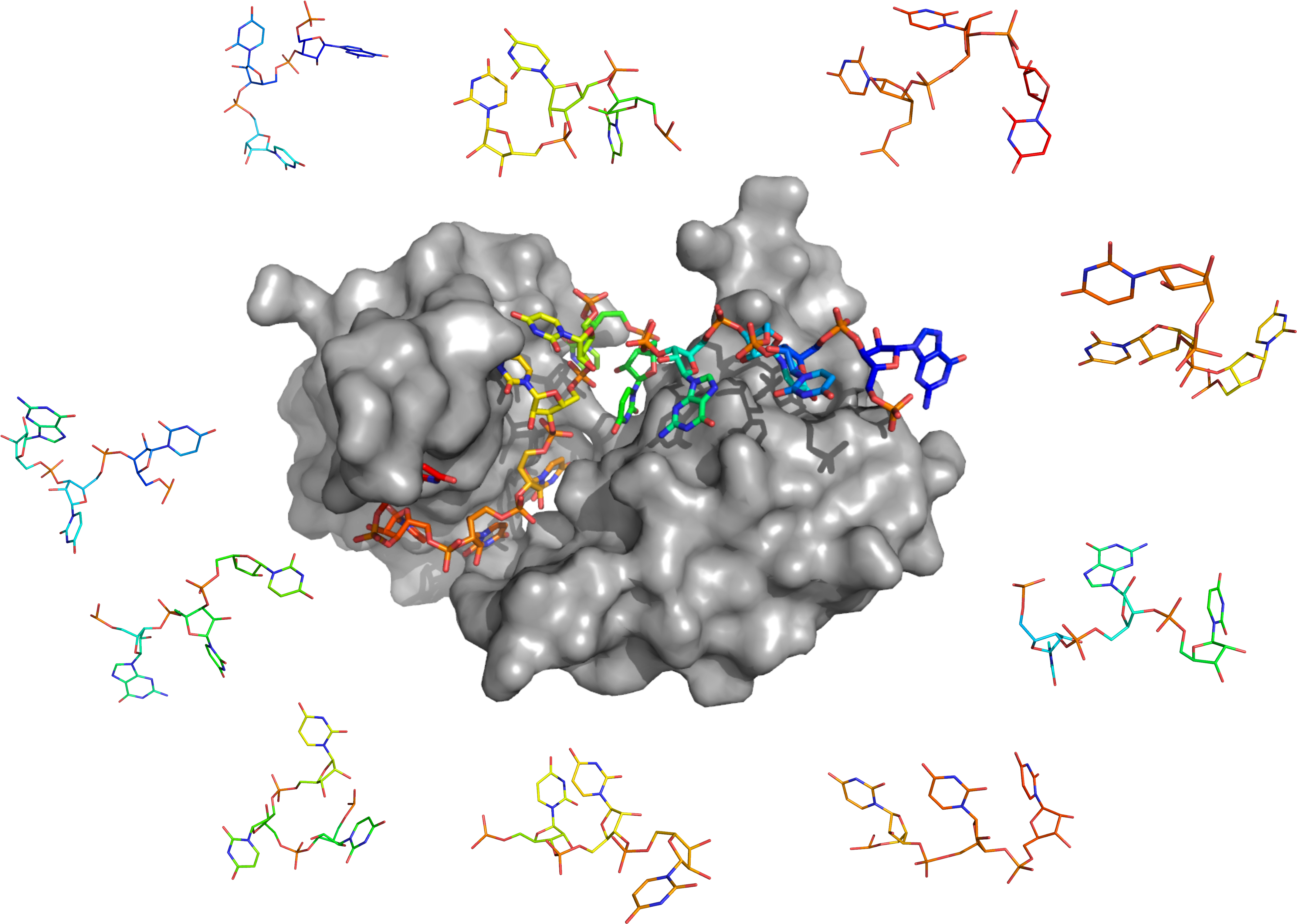 Current Methods Of Protein Rna Docking Are Severely (4730x3547), Png Download