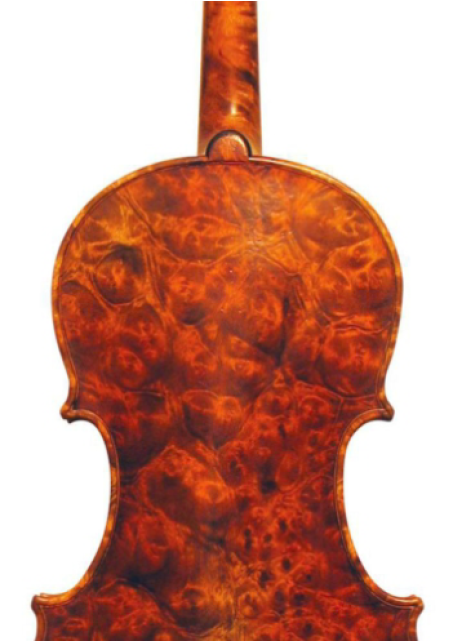 Viola (853x640), Png Download