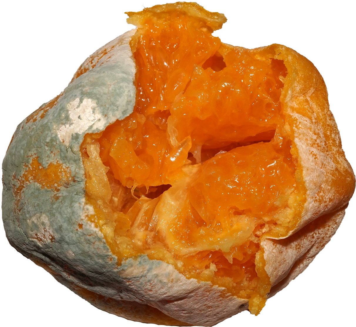 Citrus Fruit Mold - Pastry (1212x1113), Png Download