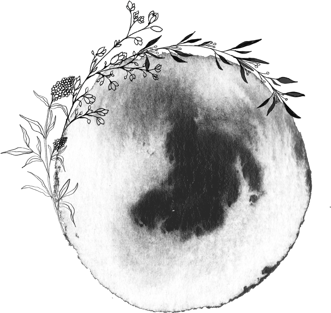 Sketch (2000x2000), Png Download