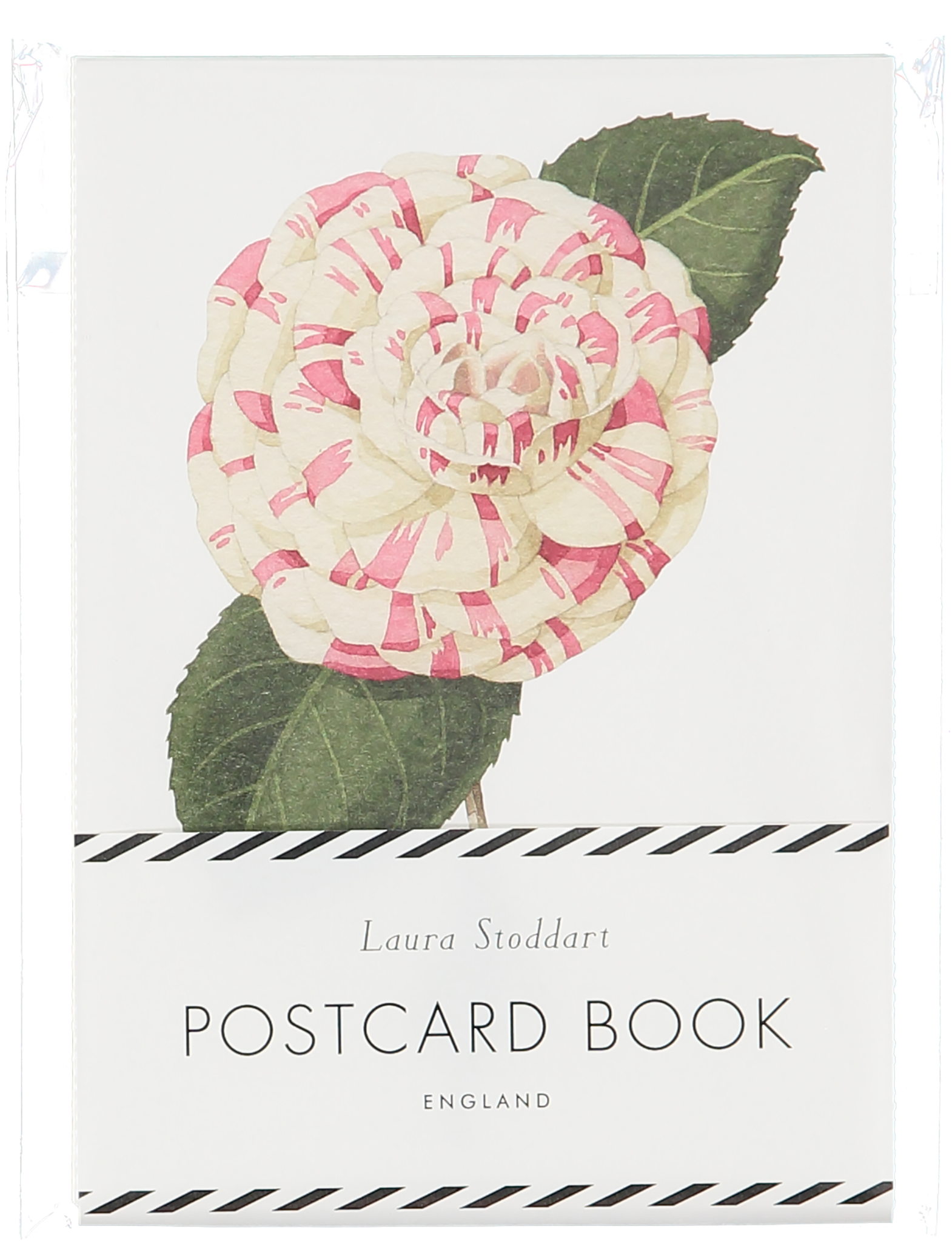 Description - Illustrator (2048x2048), Png Download