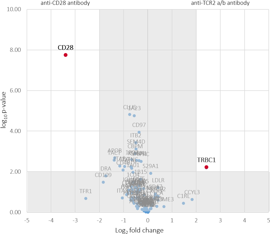 T Cells - Diagram (1104x955), Png Download