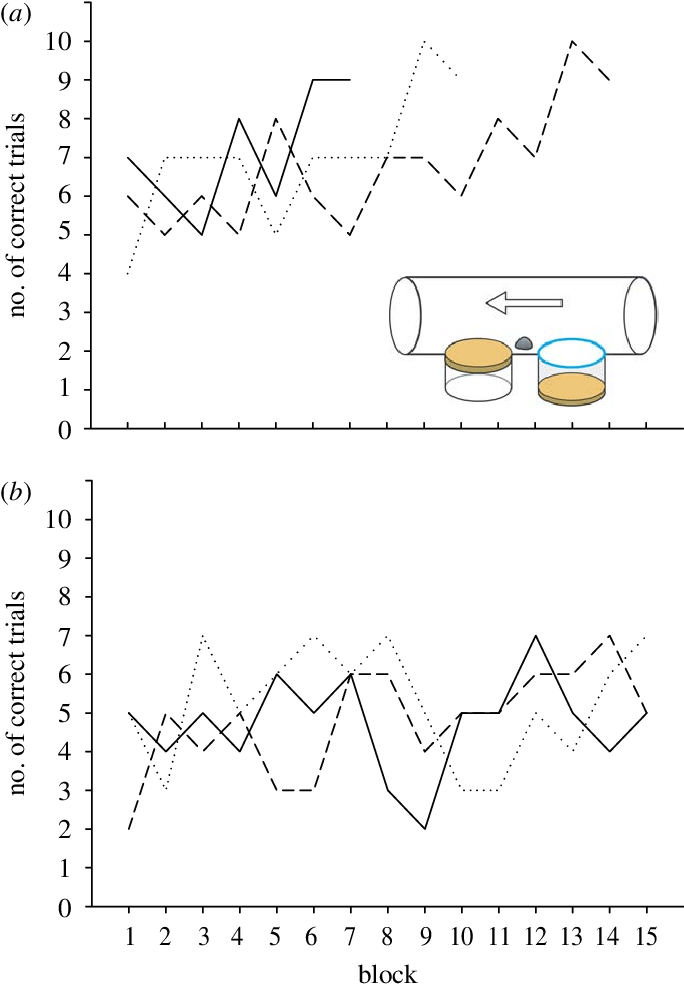 The Performance Of The Crows With The Initial Traptube - Diagram (684x992), Png Download