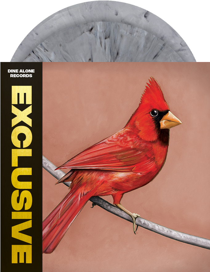 Old Crows / Young Cardinals (700x1000), Png Download