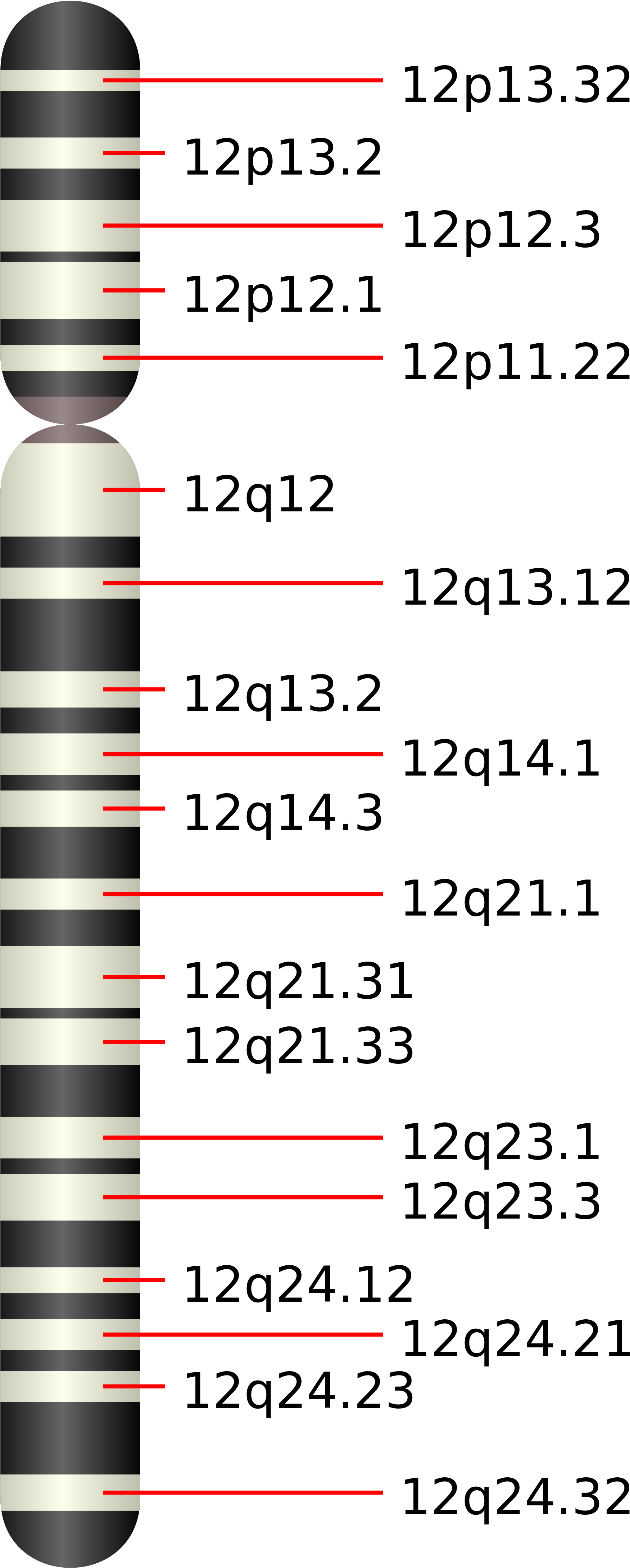 Open - Chromosome 6q21 (2000x4537), Png Download