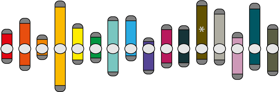 Have Done Just This And Opened The Door To Further (960x406), Png Download