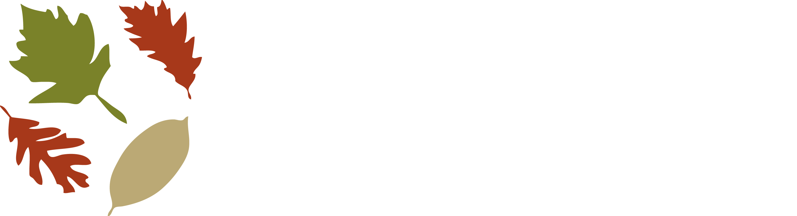 Sanford Center Cmyk Inverse Logo Sanford Center Cmyk - Sanford Health (3119x846), Png Download