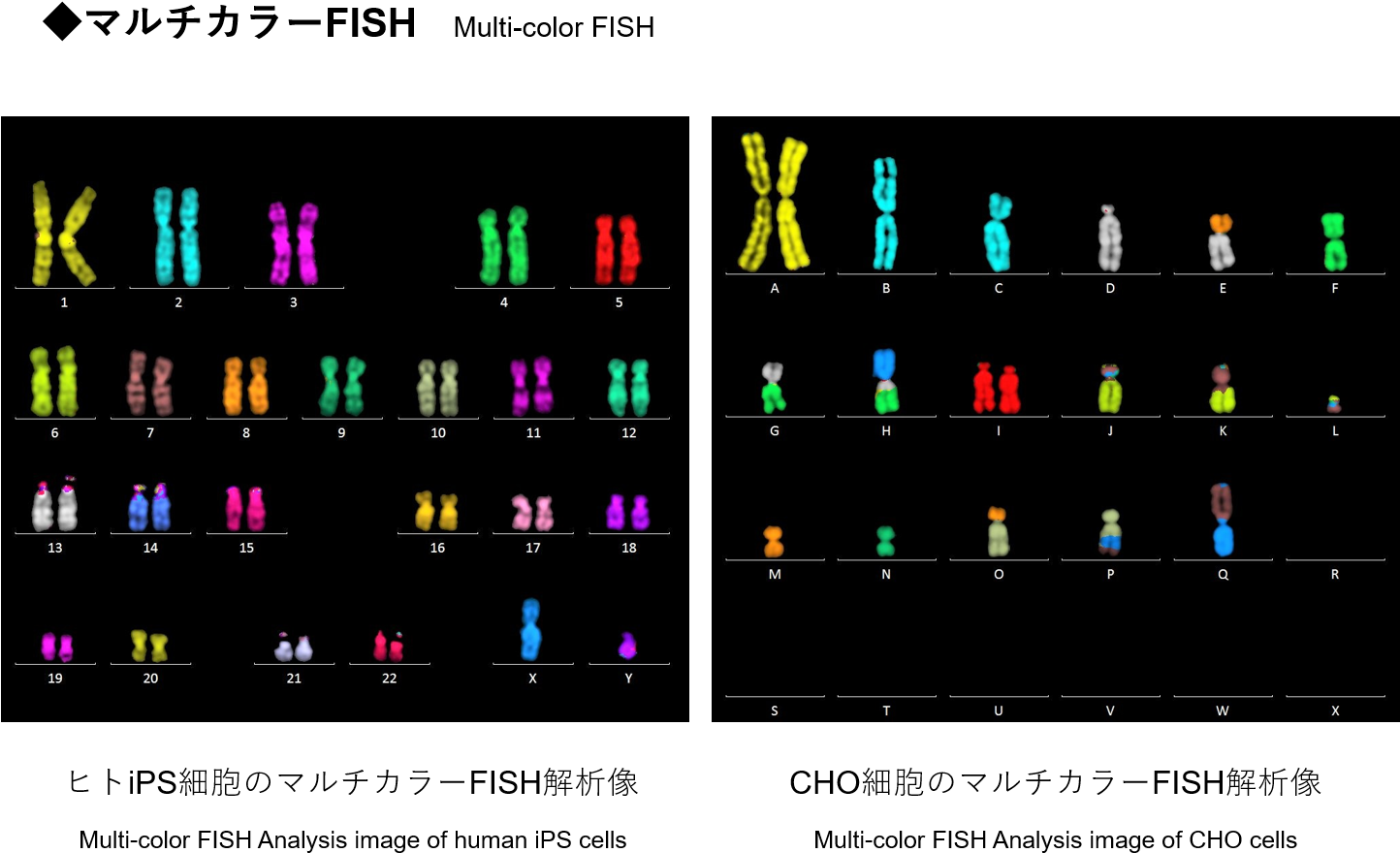 Analysis Example - Graphic Design (1443x913), Png Download
