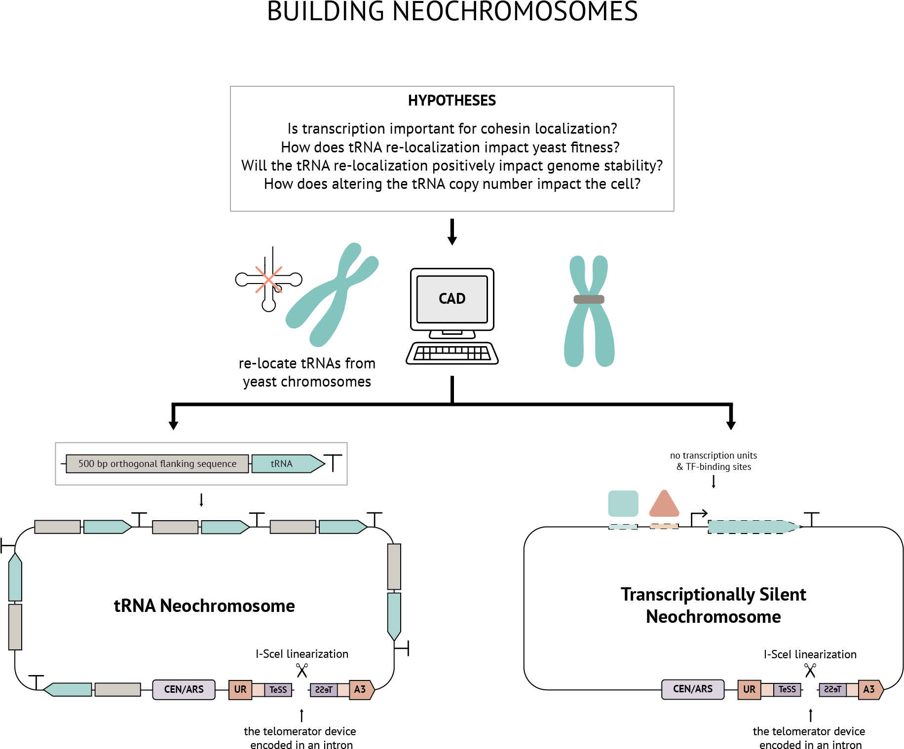 Projects - Diagram (1831x1533), Png Download