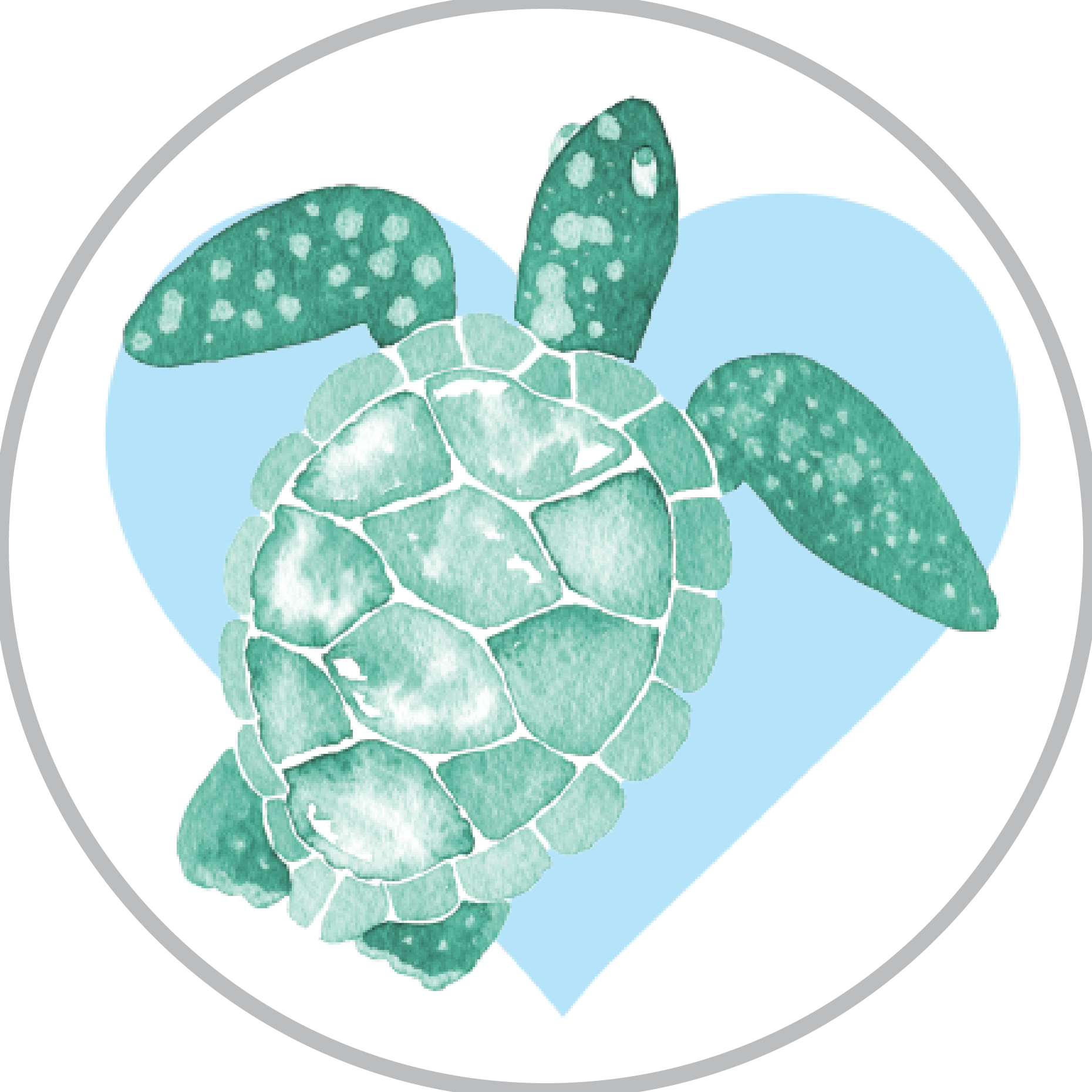 Turtle Xoxo - Sea Life Watercolor (1860x1860), Png Download