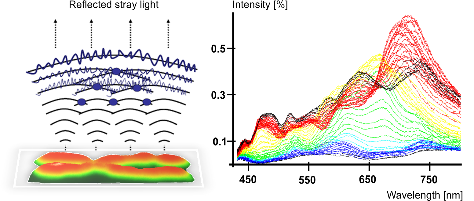 Interference Spectra Of An Unstained Chromosome - Diagram (1572x698), Png Download