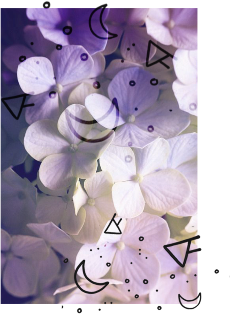 Web Testimonials (1000x1250), Png Download