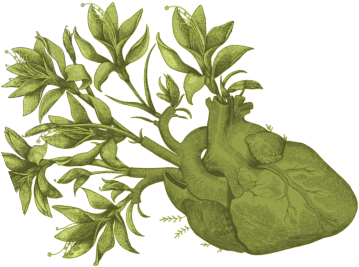 Algunos Buenos Libros (2000x1392), Png Download