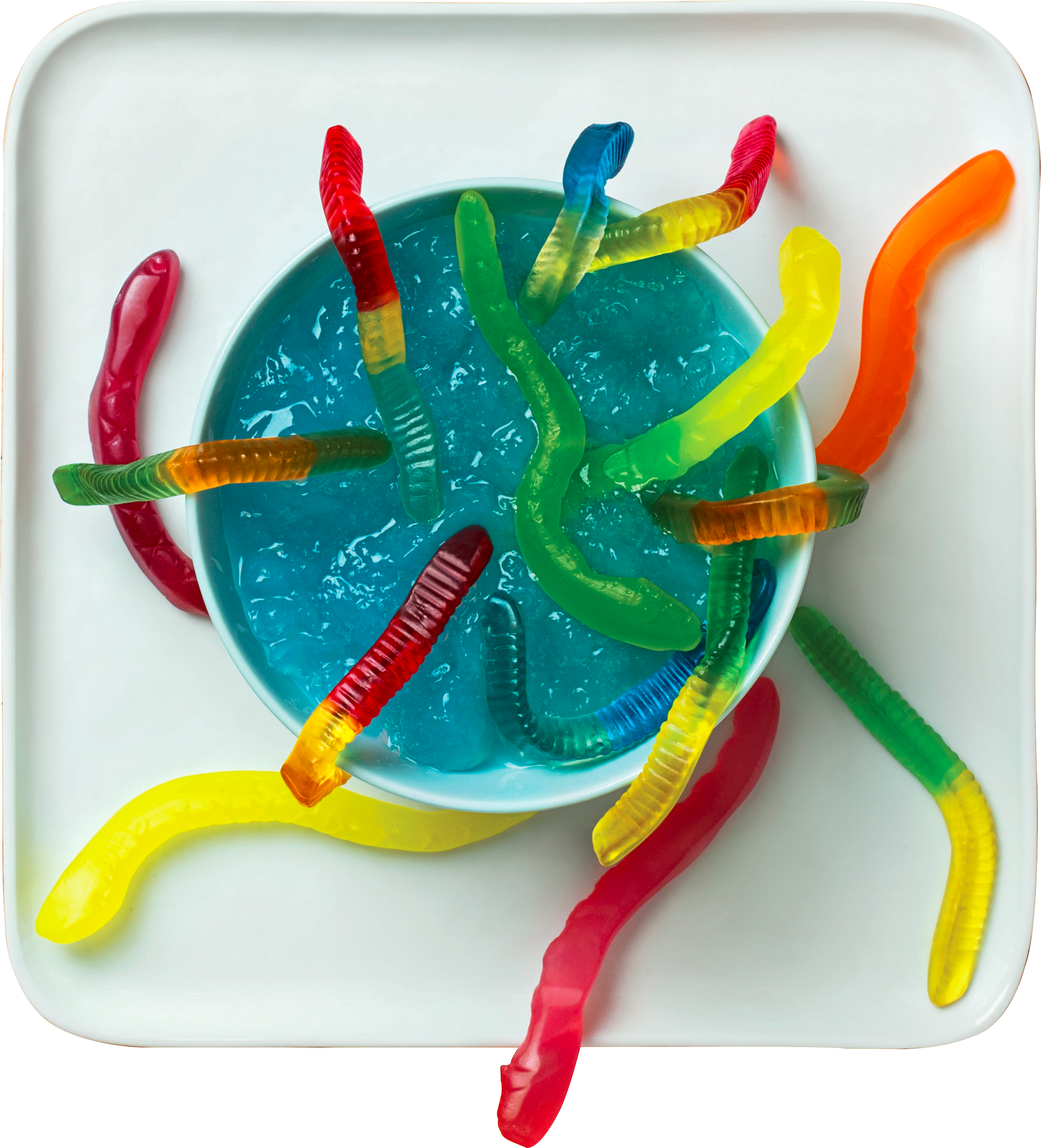 Jello Aquarium Recipe - Insect (2630x2902), Png Download