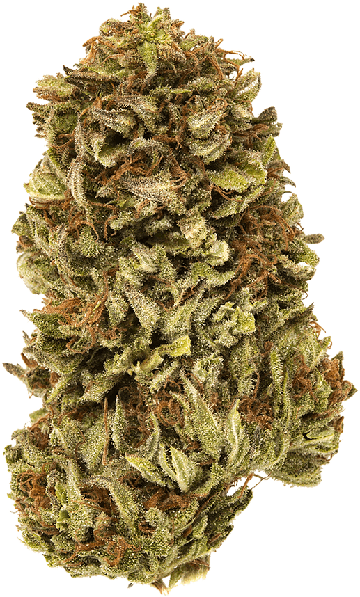 New Age Botanicals - Bud (1140x1140), Png Download
