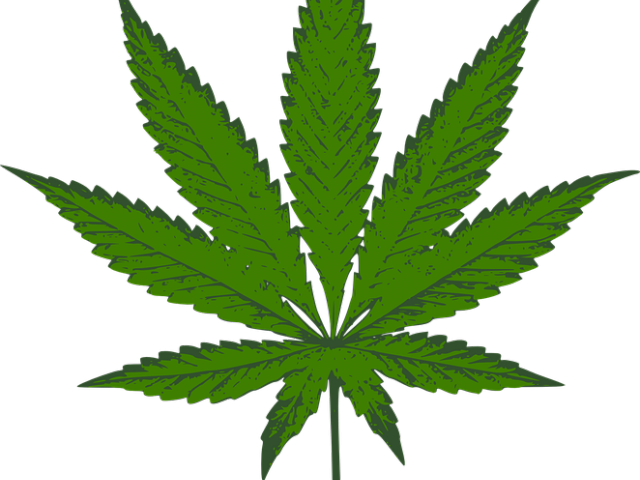 Weed Clipart Weed Bud - Dark Green Weed Leaf (640x480), Png Download